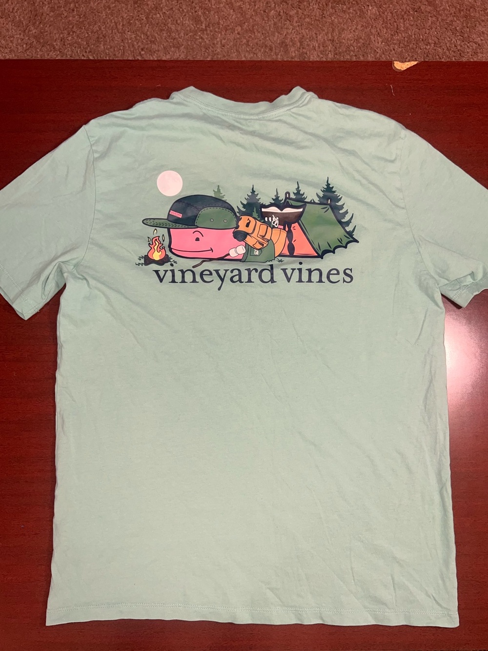 Vineyard Vines Men's Mint Green Camping Graphic Tee